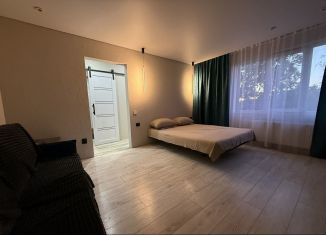 Сдаю 1-ком. квартиру, 36 м2, Курчатов, улица Космонавтов, 20