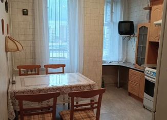 Аренда однокомнатной квартиры, 45 м2, Санкт-Петербург, улица Сикейроса, 12