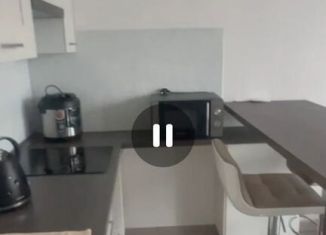 Квартира в аренду студия, 27 м2, Мытищи, улица Академика Каргина, 23А, ЖК Отрадный