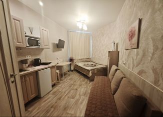 Сдам в аренду квартиру студию, 22 м2, Санкт-Петербург, Старорусская улица, 16