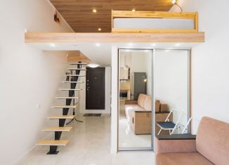 Продаю квартиру студию, 30 м2, Санкт-Петербург, метро Елизаровская, проспект Обуховской Обороны, 33