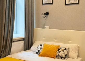 Аренда квартиры студии, 16 м2, Санкт-Петербург, Боровая улица, 22