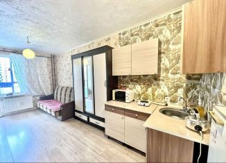 Продаю квартиру студию, 21 м2, Мурино, Воронцовский бульвар, 17, ЖК Алфавит