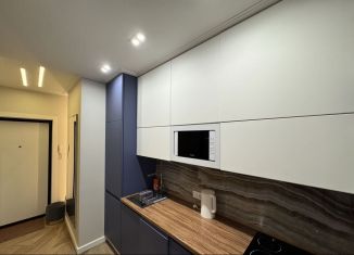 Сдаю в аренду 2-комнатную квартиру, 36 м2, Сочи, Троицкая улица, 31/2, микрорайон Голубые Дали