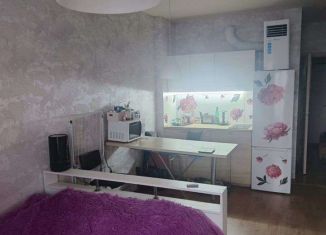 Продается квартира студия, 24.5 м2, Санкт-Петербург, проспект Ветеранов, 171к1, Красносельский район