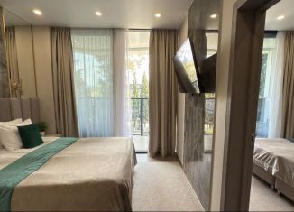 Сдам в аренду 1-комнатную квартиру, 48 м2, Сочи, улица Кирова, 95, микрорайон Черемушки