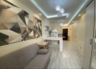 Продажа квартиры студии, 20.4 м2, Мурино, Воронцовский бульвар, 19к1