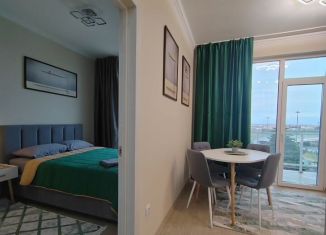 Сдается в аренду 1-комнатная квартира, 40 м2, Сочи, Каспийская улица, 68к1, микрорайон Верхнеимеретинская Бухта