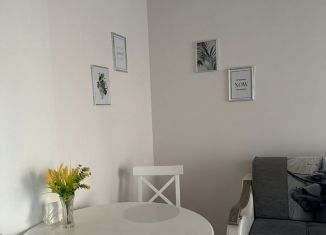 Сдается в аренду квартира студия, 35 м2, Сочи, Молодогвардейская улица, 2Б/7, микрорайон Соболевка