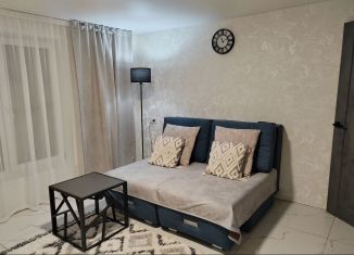 Сдается в аренду дом, 42 м2, село Усть-Кокса, Советская улица, 44