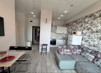 Сдается однокомнатная квартира, 40 м2, Сириус, переулок Кувшинок, 9