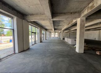 Помещение свободного назначения в аренду, 100 м2, Ростов-на-Дону, Особенная улица, 41, Октябрьский район