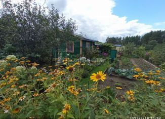 Продается дача, 24 м2, Ковров, СНТ Коллективный сад № 2 КЭМЗ, 45