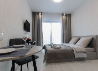 Сдается квартира студия, 21.8 м2, Санкт-Петербург, набережная Макарова, 58