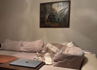 Сдается в аренду 3-ком. квартира, 110 м2, Пермь, улица Плеханова, 12