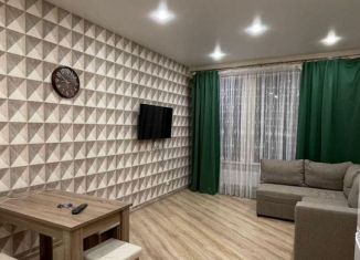 Сдается в аренду однокомнатная квартира, 52 м2, Краснодар, ЖК Центральный, улица Будённого, 129