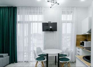 Сдается квартира студия, 40 м2, Сочи, улица Тимирязева, 42/7, микрорайон Донская