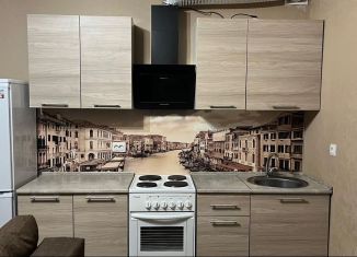 Аренда квартиры студии, 28 м2, Ростов-на-Дону, 1-я Ковровая улица, 65/1, ЖК Западная Резиденция