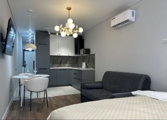 Продаю квартиру студию, 32 м2, Ростов-на-Дону, Пролетарский район, Береговая улица, 73с1