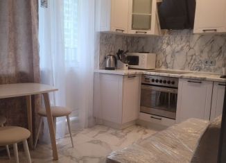 Сдам в аренду однокомнатную квартиру, 30 м2, Мурино, улица Шувалова, 32