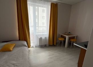 Сдаю в аренду квартиру студию, 19.3 м2, Пермь, Нижне-Курьинская улица, 38