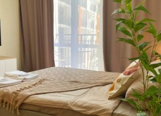 Сдаю в аренду квартиру студию, 24 м2, Сочи, улица Искры, 88к8, микрорайон Кудепста