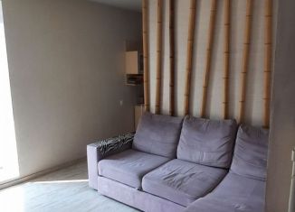 1-комнатная квартира в аренду, 47.2 м2, Саратов, улица имени Г.К. Орджоникидзе, 13/3