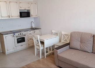 Продаю квартиру студию, 21.4 м2, Котельники, Сосновая улица, 5к1