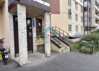 Продаю 1-комнатную квартиру, 40 м2, деревня Новое Девяткино, ЖК Девяткино, Арсенальная улица, 3