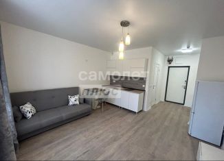 Сдам квартиру студию, 24 м2, Люберцы, улица Камова, 1к1, ЖК Люберцы 2020