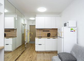 Продаю квартиру студию, 22.1 м2, посёлок Парголово, Толубеевский проезд, 8к2