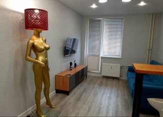 Сдам квартиру студию, 27 м2, Мурино, Екатерининская улица, 30, ЖК Авиатор