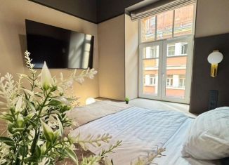 Сдаю в аренду квартиру студию, 17 м2, Санкт-Петербург, Большой Казачий переулок, 10