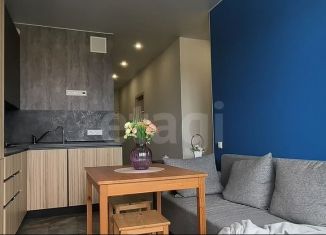 3-комнатная квартира на продажу, 61.2 м2, деревня Красный Поселок, улица Конюхова, 11, ЖК Сампо