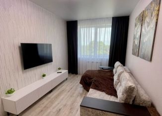 Сдача в аренду 2-ком. квартиры, 50.5 м2, Кингисепп, улица Жукова, 18Ак1