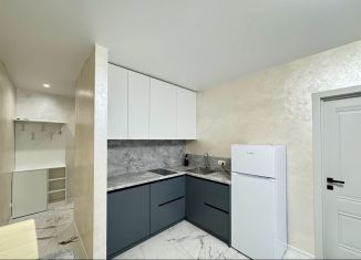 Сдача в аренду однокомнатной квартиры, 45 м2, Сочи, переулок Трунова, 6к6, микрорайон Завокзальный