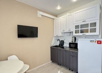 Сдается в аренду квартира студия, 23 м2, Сыктывкар, Октябрьский проспект, 222, ЖК Атлантида