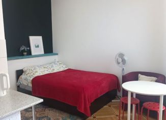 Сдается в аренду квартира студия, 22 м2, Санкт-Петербург, Тележная улица, 9