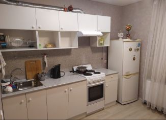 Аренда 1-ком. квартиры, 45 м2, Республика Башкортостан, улица Дмитрия Купцова, 6