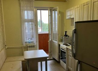 1-комнатная квартира в аренду, 40 м2, Санкт-Петербург, Красносельское шоссе, 52к3