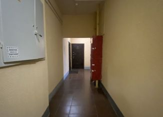 Однокомнатная квартира в аренду, 42.5 м2, Санкт-Петербург, Дунайский проспект, 7к3