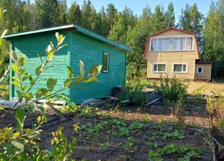 Продаю дом, 144 м2, Карелия, Еловая улица