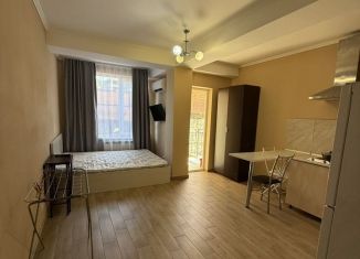 Сдается в аренду квартира студия, 30 м2, Сочи, улица Тимирязева, 30/3В