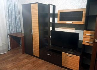 Сдается в аренду однокомнатная квартира, 42 м2, Новосибирск, улица В. Высоцкого, 50, Октябрьский район