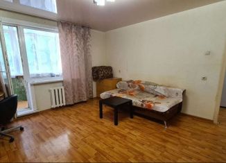 Сдается в аренду 2-комнатная квартира, 45 м2, Екатеринбург, улица Восстания, 110, улица Восстания