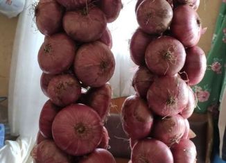 Продается дача, 25 м2, Череповец, 26-я линия