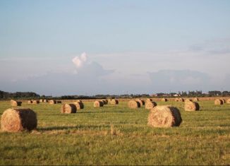 Продам участок, 250 сот., село Даусуз