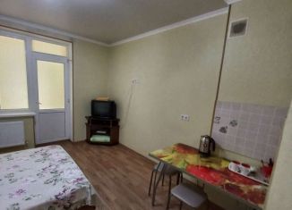 Квартира в аренду студия, 25 м2, Славянск-на-Кубани, улица Лермонтова, 276