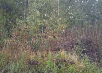 Продажа земельного участка, 1 сот., посёлок Пыра, улица 1 Мая