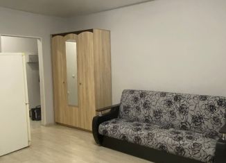 Квартира в аренду студия, 29 м2, Омск, улица Мишина, 2, ЖК Московка-2